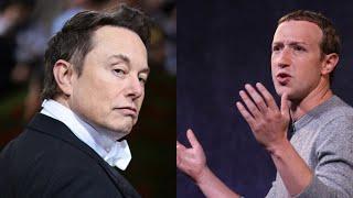 Cage fight between Elon Musk and Mark Zuckerberg to be streamed on X