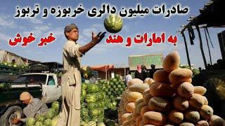 فصل خربوزه و تربوز و صادرات میلیونی آن به امارات و هند Afghanistan watermelon export
