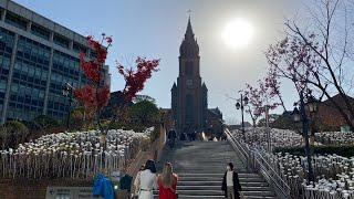 The Beautiful Myeongdong Cathedral 