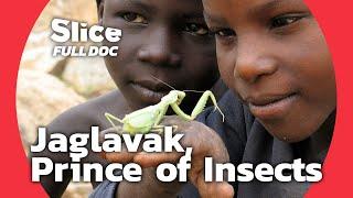 Jaglavak The Dragon Ant of Cameroon  FULL DOCUMENTARY