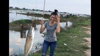 Beautiful Girl Fishing - Khmer Girl Fishing At Siem Reap Cambodia - Cambodia Traditional Fishing