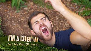 Owen has a feast in the Bushtucker Bonanza  Im A Celebrity... Get Me Out Of Here