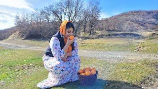 Cooking orange chicken in Iranian village style  Village lifestyle of Iran