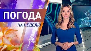 Погода на неделю 2-8 ноября 2020. Прогноз погоды. Беларусь  Метеогид