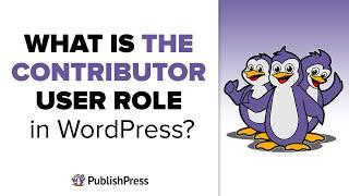 What is the Contributor User Role in WordPress?