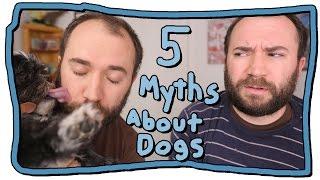 5 Myths About Dogs