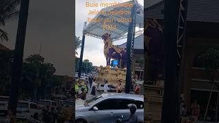 Bule makin ramai jelang pelebon besar puri ubud 2024 #shorts