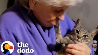 Grandma Is Hiding Her True Feelings About Her Cat  The Dodo