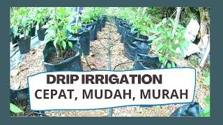 Cara mudah pasang sistem pengairan  How to install a simple drip irrigation system