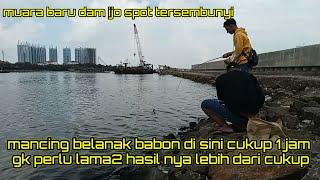 spot mancing ikan belanak babon di muara baru yg jarang orang ketahui #mancing #muarabarudamijo