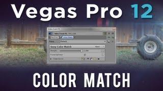 Vegas Pro 12 Color Match