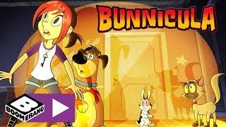 Bunnicula  Chester Locks Up Bunnicula  Boomerang UK 