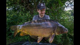 Karpfenangeln am Baggersee Livebiss während der Kurzsession