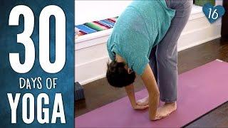 Day 16 - Easy Breezy Beautiful Yoga - 30 Days of Yoga