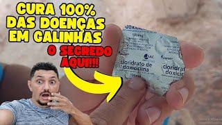 MELHOR REMÉDIO - CURA 100% DAS DOENÇAS EM GALINHAS - SEGREDO REVELADO