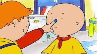 Caillou Gets Bullied by Leo  Caillou Cartoon