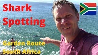  SHARK Spotting Great White @ Robberg Nature Reserve {Budget Travel Plettenberg Bay SOUTH AFRICA}