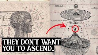 How to Know if Youre Ascending to The 5th Dimension  7 Signs You’re Shifting