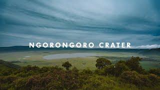 Episode 2 FIRST TIME SEEING NGORONGORO CRATER VLOG