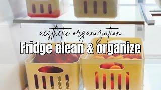 FRIDGE CLEAN & ORGANIZE  Fridge organization  aesthetic organizers￼￼￼