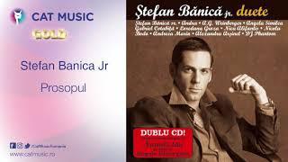 Stefan Banica Jr. - Prosopul