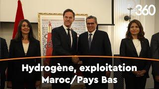 Hydrogène vert le Maroc et les Pays-Bas signent un mémorandum