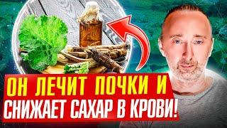 Средство №1 для ПОЧЕК и Простаты снижает САХАР и холестерин