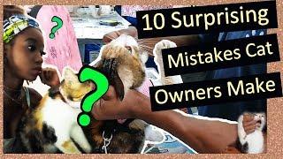 10 COMMON MISTAKES CAT OWNERS MAKE