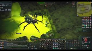 Melee Araxxor to 300% Enrage in 1 Invent No Food