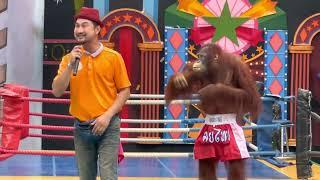 Monkey show Safari World Thailand