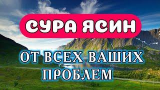 СУРА ЯСИН ОТ ВСЕХ ВАШИХ ПРОБЛЕМ  #сура #ясин #дуа