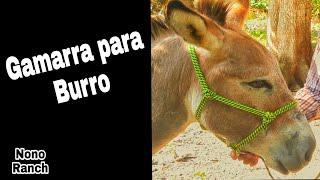 Como hacer una GAMARRA para BURRO