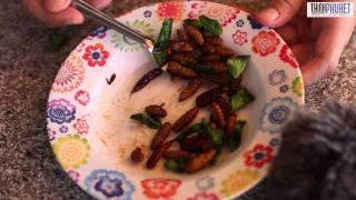 Eating bugs in Thailand –the definitive eating guide