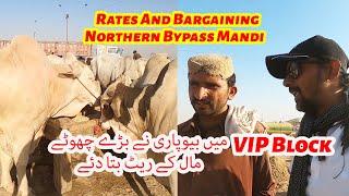 VIP Block Me Beopari Ne Bare Chotay Maal Ke Rate Batadiye Rates And Bargaining Northern Bypass Mandi