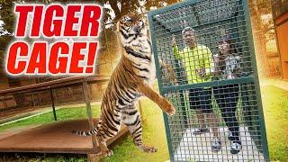 MASUK KANDANG HARIMAU ALSHAD AHMAD TIGER CAGE CHALLENGE