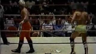 Randy Savage vs Austin Idol Mid-South Coliseum 5-14-84 Memphis Wrestling