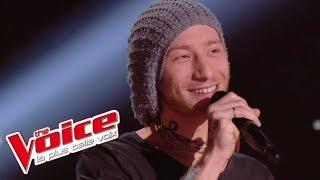 The Animals – The House of The Rising Sun  Pierre Edel  The Voice France 2014  Blind Audition