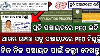 ପ୍ରତି ପଞ୍ଚାୟତରେ PEO ନିଯୁକ୍ତି 2024Odisha New PEO JOBSOSSSC PEO job vacanciesOdisha PEO Jobs