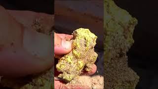 Small Signs of Gold Nuggets