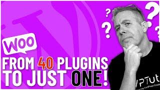 The Ultimate WooCommerce Cleanup Ditch 40 Plugins for Merchant Free or Pro
