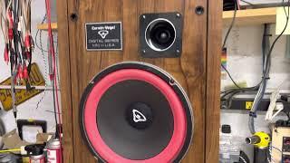 Cerwin Vega D-2 Speakers