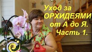 Уход за ОРХИДЕЯМИ от А до Я. Часть I.  PHALAENOPSIS ORCHID CARE.