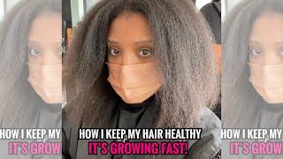 Healthy Natural Hair Growing Fast