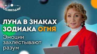 ЛУНА в знаках Зодиака ОГНЯ Эмоции захлёстывают разум  Астролог Елена Ушкова