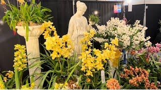 Какие из этих орхидей есть у вас? Выставка орхидей в Пенсильвании. Как выращивают орхидеи в Америке.