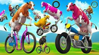 Funny Color Cows Racing to Victory Hilarious Bike & Truck Challenges - Cow Cartoon Adventure