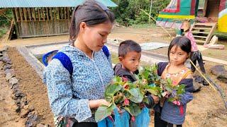 Arrange rocks around the fish pond dig the soil plant ornamental plants-Dia with the children.