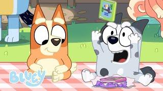 Luckys Dads Rules  Pass the Parcel - Series 3  Bluey