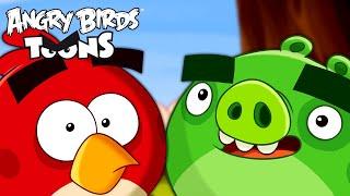 Angry Birds Toons Season 1  Ep. 31 to 35