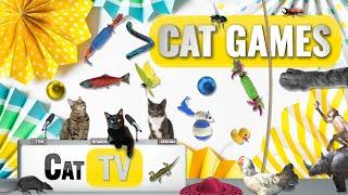 CAT Games  Ultimate Cat TV Compilation Vol 42  2 HOURS 